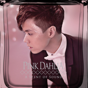 捷克街头钞能力在线视频
