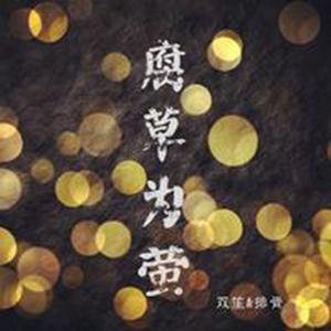 捷克街头钞能力在线视频
